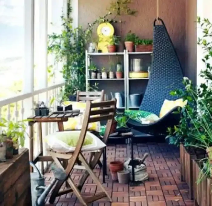 گیاهان آپارتمانی در دکوراسیون